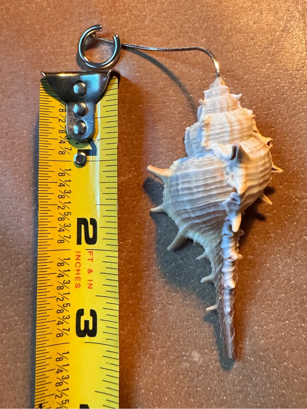 Shell earcuff earring single ๐ - Picture 6 of 9